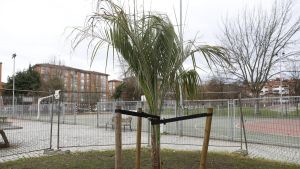 Detenido un joven de 19 años por una agresión mortal a un hombre en un parque de Gijón y huir con un grupo a la carrera