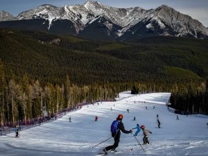 Opinion: Alberta's tourism boom needs more protected land, not less