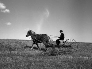 Overgangen fra landbrug til industri var brutal. Nu venter en endnu større omstilling – og vi er nødt til at tale om konsekvenserne