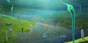 Humans’ closest invertebrate ancestors date back much further than thought – how we discovered the fossils that show this