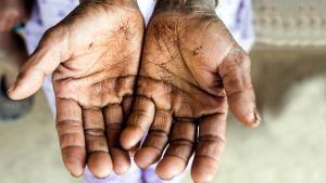 O que é o islamo-gauchisme?