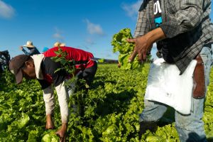 Un projet de règlement nécessaire à la dignité humaine