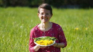 Superfood Löwenzahn: Die Geheimnisse der wilden Frühlingspflanze und ihre überraschenden Kräfte