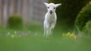 Wo die Feiertage stürmisch werden - und wo 23 Grad winken