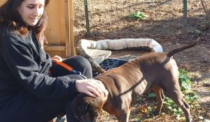 Storia di Flavia, ferrarese salvata dal cane che poi ha adottato