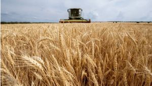 Rat na Bliskom istoku diže cene hrane