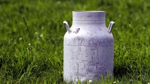 Unbekannter knackt Milchautomat: Eine Überwachungskamera filmt die Tat