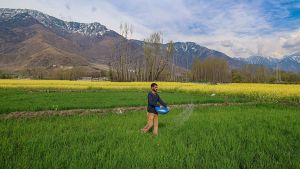 A Long Gulf War Can Starve the World. A Hormuz Transit Deal Could Save Millions.