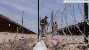 U.S.-Mexico Border Update: Migration data, DHS shutdown and new management, abuses in ICE custody, border walls