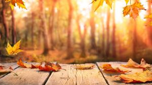 Finding meaning in the stillness of age