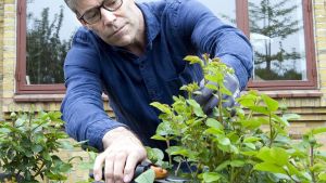 Teolog: Opstandelsen er ikke en præstation. Det er et håb, hvor håbet slipper op