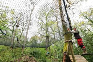 Pau : la Forêt des vert’tiges se régénère après la tempête