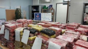 Zoll findet Kokain im Millionenwert in Blumenerde-Laster