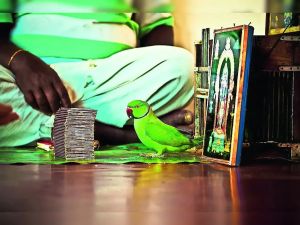 When fear outpaces fundamentals: Why RBI’s signal matters more than rates