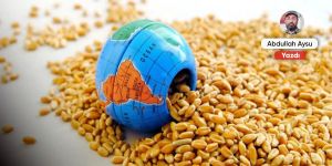 Savaşın gölgesinde gıdanın geleceği