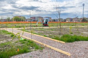Ecco il Central Bosc: viaggio nel nuovo polmone verde di Ferrara