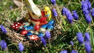 Ürner Asichtä»: Wenn Hasen Eier drucken