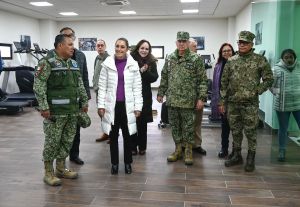 Con Morena, el elefante burocrático, más reumático que nunca