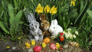Ostern sollte man als Chance betrachten