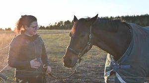 Voksne i hestebranchen lever af unges passion – og misbruger den på kynisk vis