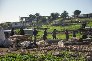 Far-right Israeli influencer banned from TikTok for breaking harassment rules