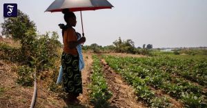 Hoffnung zum Osterfest