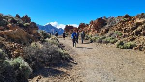 Vier Jahre vermisster Rucksack-Tourist für tot erklärt