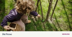 Den Problemhaufen in überschaubare Teile zerlegen