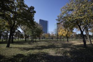 Beogradski biciklisti u vožnji do Ušća, traže da park ostane mesto rekreacije i zelenila