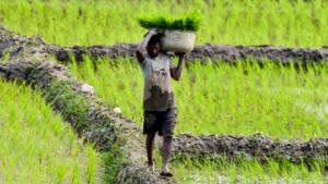 Are we feeding the soil or the market?