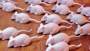 Los límites de la clonación frente a la utópica vida eterna