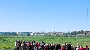Tablada, la primavera urbana de Sevilla