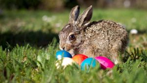 Warum viele Männer mit Ostern nicht viel anfangen können
