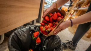 La ley contra el desperdicio alimentario entra en vigor: multas de hasta 500.000 euros