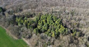 Santé et biodiversité : sous l’étendard du One Health Summit, la dangereuse inertie des pouvoirs publics