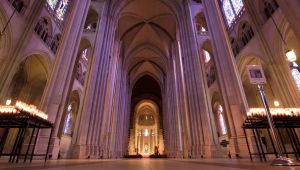 What can we learn from our babies this Easter? Hope.Matthew Heyd