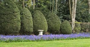 Hidden garden with lakes and woodland walks opening for one day this spring