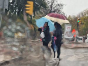 Seguimiento de la dana en Andalucía, acumulados actualizados. Probabilidad de avisos por lluvias en la zona occidental