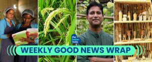 Good News This Week: How Solar Power, Bamboo Work & Farming Are Bringing New Income in the New Year