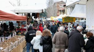 Vigevano, cosa si chiede al nuovo sindaco? Le risposte dei cittadini