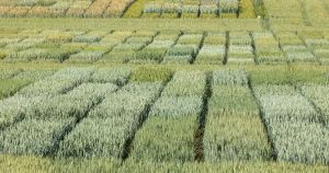 One Health : les recherches scientifiques doivent orienter les politiques publiques en santé environnementale