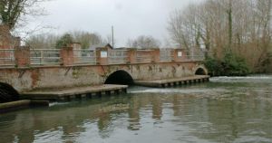 River stretches blocked by trees amid windy weather