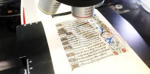 As a ‘book scientist’ I work with microscopes, imaging technologies and AI to preserve ancient texts