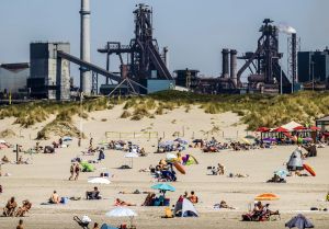 Tata, of hoe een dood paard de democratie bedreigt