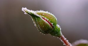 Before You Share Your Body, Ask: Do They Know You?