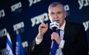 Levin says government should ignore High Court ruling allowing wartime protests