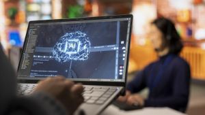 Algoritmos aduladores