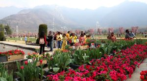 Cautious tourism revival