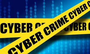 Effectiveness of cybercrime deterrence