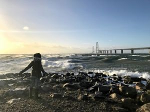 DMI advarer om vindstød af stormstyrke på Sjælland - her er det værst